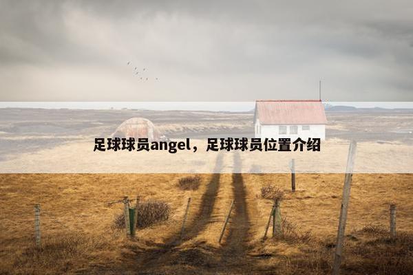 足球球员angel，足球球员位置介绍