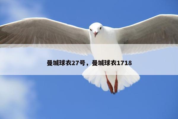 曼城球衣27号，曼城球衣1718