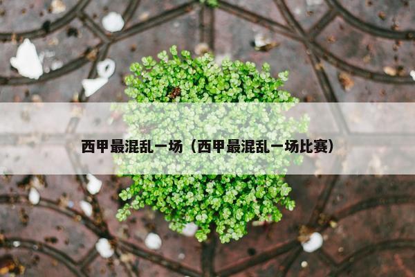 西甲最混乱一场（西甲最混乱一场比赛）