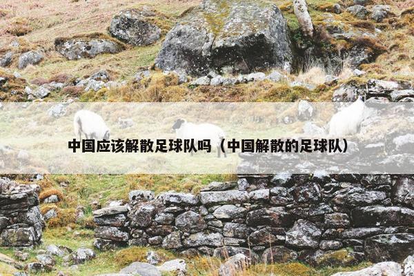 中国应该解散足球队吗（中国解散的足球队）