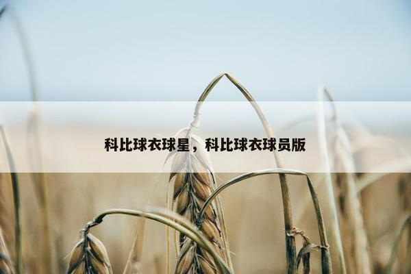 科比球衣球星，科比球衣球员版