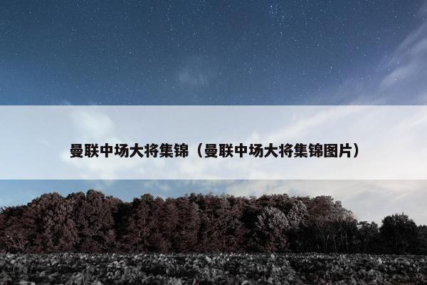 曼联中场大将集锦（曼联中场大将集锦图片）