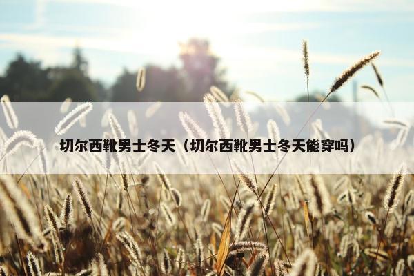 切尔西靴男士冬天（切尔西靴男士冬天能穿吗）