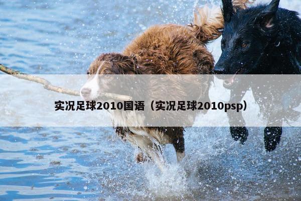 实况足球2010国语（实况足球2010psp）