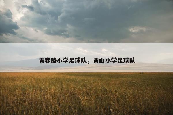 青春路小学足球队，青山小学足球队