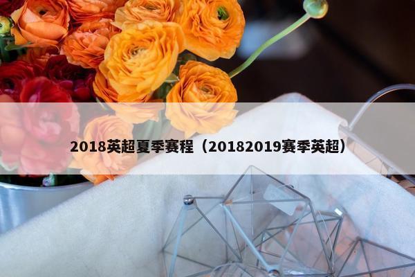 2018英超夏季赛程（20182019赛季英超）