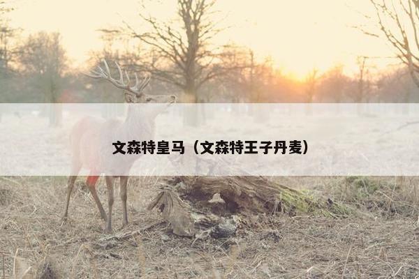 文森特皇马（文森特王子丹麦）