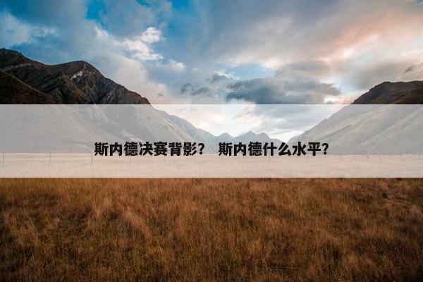 斯内德决赛背影？ 斯内德什么水平？