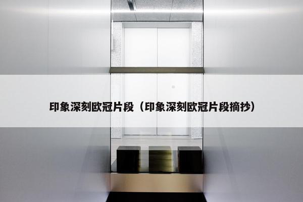 印象深刻欧冠片段（印象深刻欧冠片段摘抄）