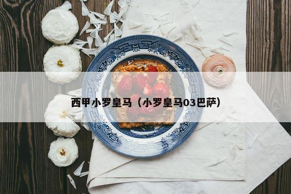 西甲小罗皇马（小罗皇马03巴萨）