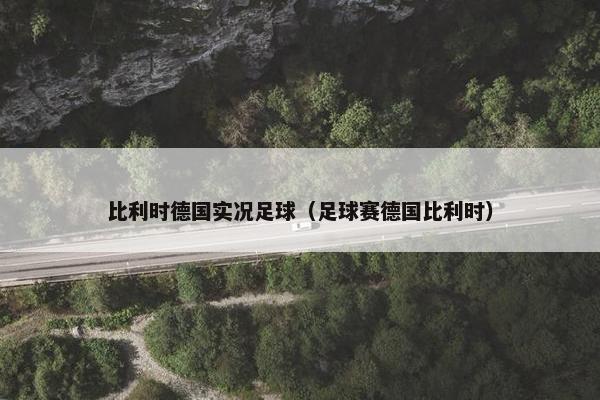 比利时德国实况足球（足球赛德国比利时）