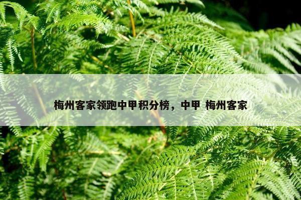 梅州客家领跑中甲积分榜，中甲 梅州客家