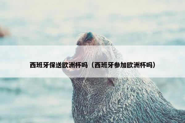 西班牙保送欧洲杯吗（西班牙参加欧洲杯吗）