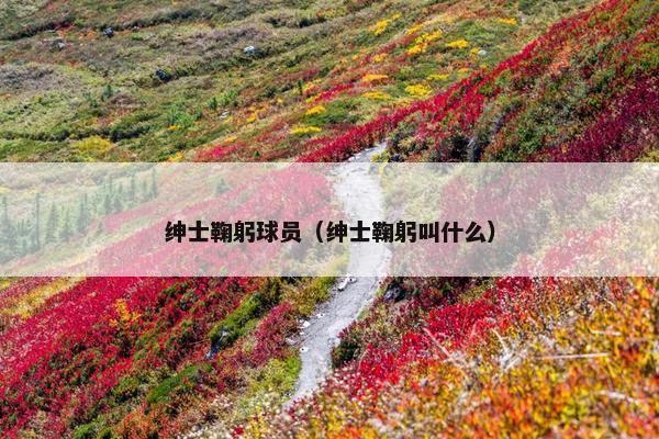 绅士鞠躬球员（绅士鞠躬叫什么）