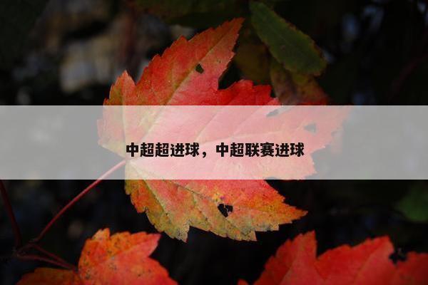 中超超进球，中超联赛进球