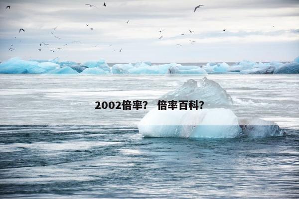 2002倍率？ 倍率百科？