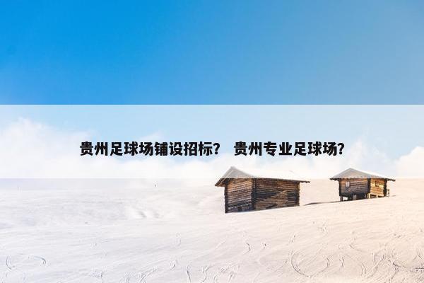 贵州足球场铺设招标？ 贵州专业足球场？