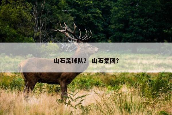 山石足球队？ 山石集团？