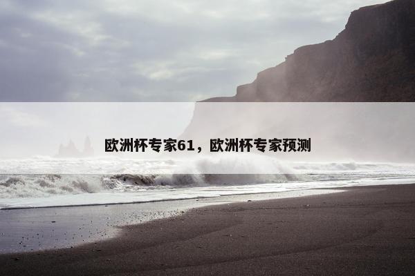 欧洲杯专家61，欧洲杯专家预测