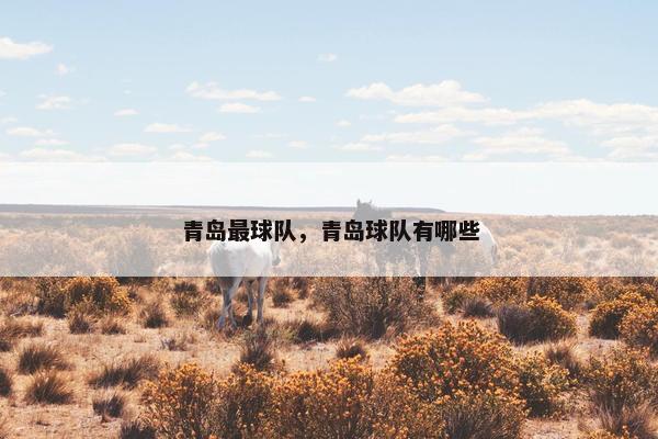 青岛最球队，青岛球队有哪些