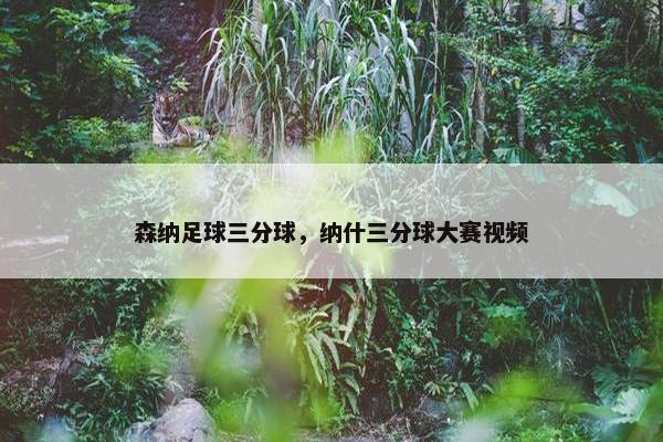 森纳足球三分球，纳什三分球大赛视频