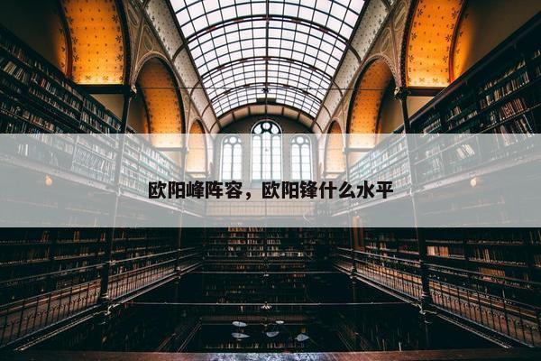 欧阳峰阵容，欧阳锋什么水平