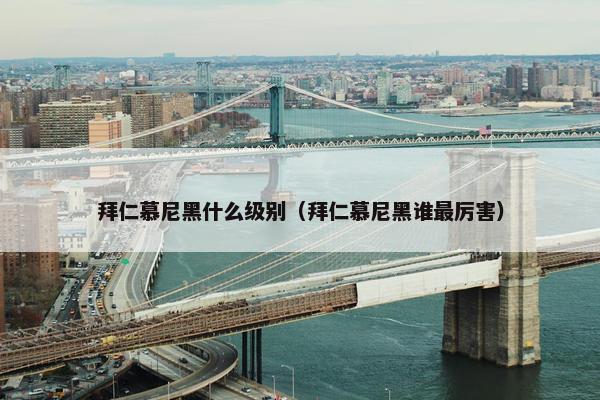 拜仁慕尼黑什么级别（拜仁慕尼黑谁最厉害）