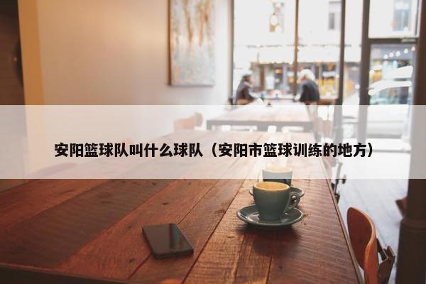 安阳篮球队叫什么球队（安阳市篮球训练的地方）