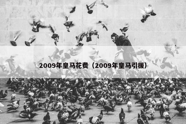 2009年皇马花费（2009年皇马引援）