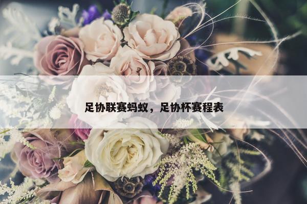 足协联赛蚂蚁，足协杯赛程表