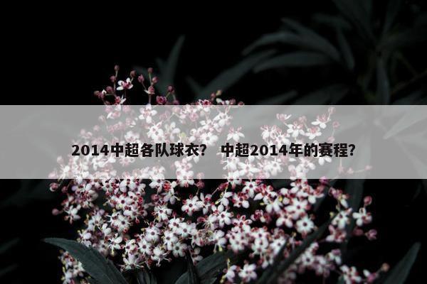 2014中超各队球衣？ 中超2014年的赛程？
