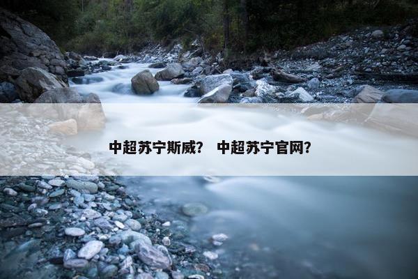 中超苏宁斯威？ 中超苏宁官网？