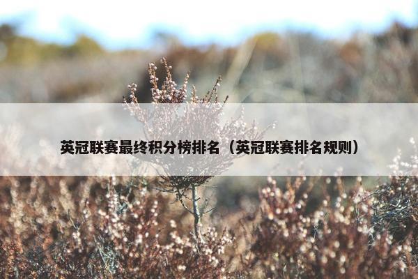 英冠联赛最终积分榜排名（英冠联赛排名规则）