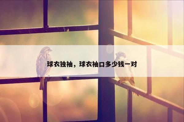 球衣独袖，球衣袖口多少钱一对