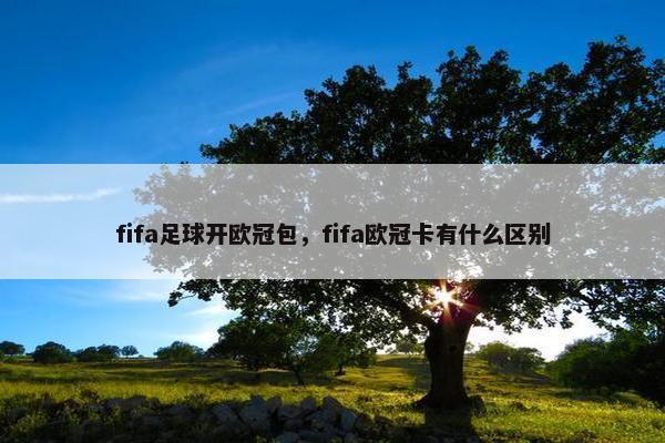 fifa足球开欧冠包，fifa欧冠卡有什么区别