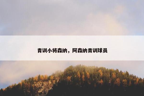 青训小将森纳，阿森纳青训球员