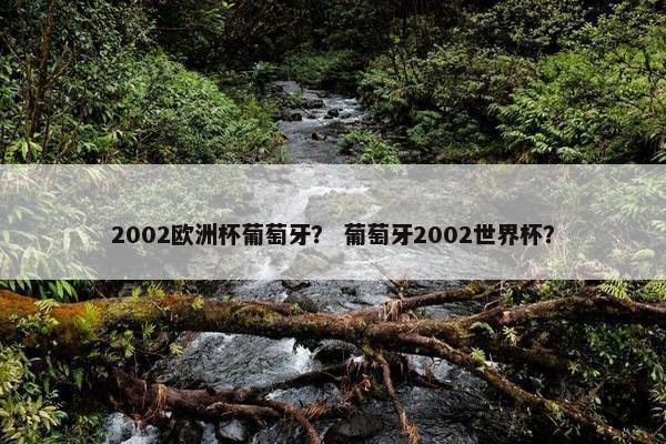 2002欧洲杯葡萄牙？ 葡萄牙2002世界杯？