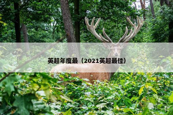 英超年度最（2021英超最佳）