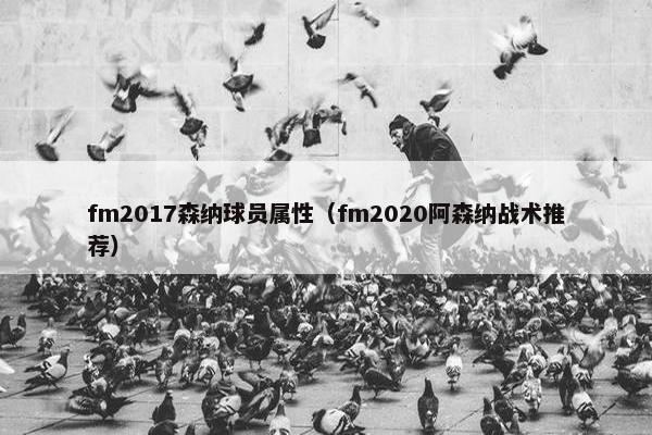 fm2017森纳球员属性（fm2020阿森纳战术推荐）