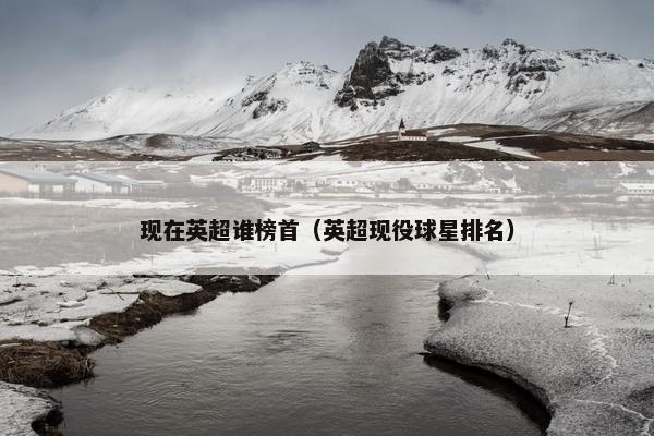 现在英超谁榜首（英超现役球星排名）