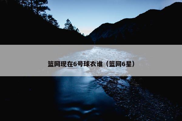 篮网现在6号球衣谁（篮网6星）