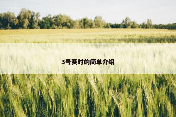 3号赛时的简单介绍