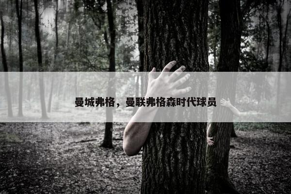 曼城弗格，曼联弗格森时代球员
