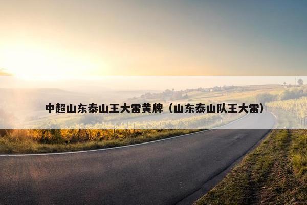 中超山东泰山王大雷黄牌（山东泰山队王大雷）