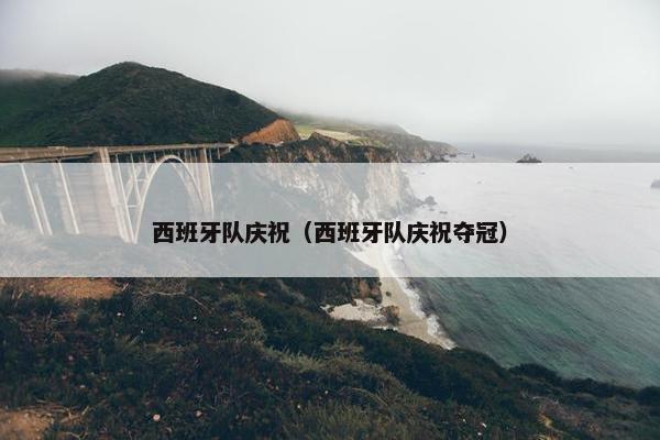 西班牙队庆祝（西班牙队庆祝夺冠）