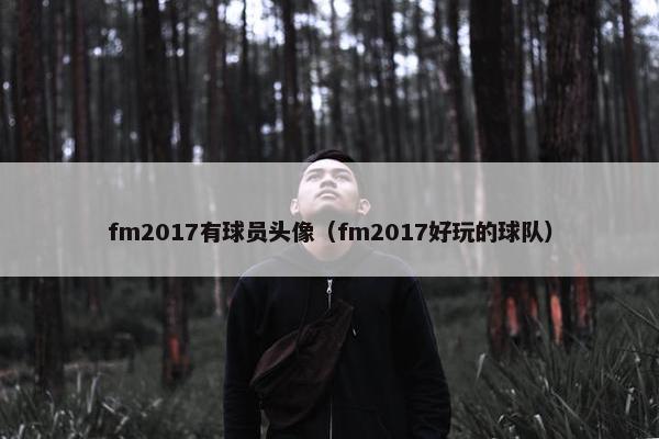 fm2017有球员头像（fm2017好玩的球队）