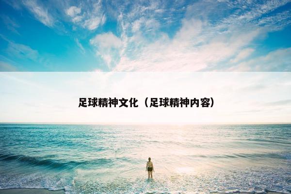 足球精神文化（足球精神内容）