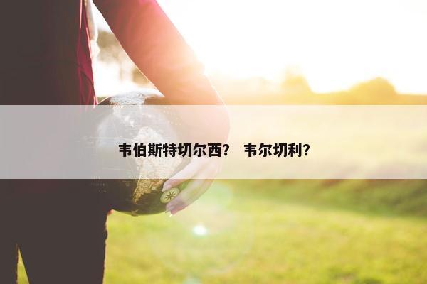 韦伯斯特切尔西？ 韦尔切利？
