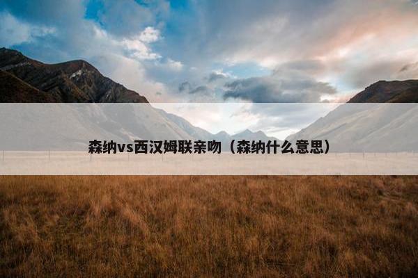 森纳vs西汉姆联亲吻（森纳什么意思）