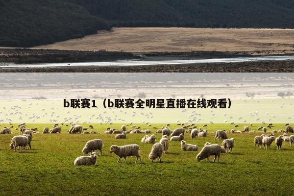b联赛1（b联赛全明星直播在线观看）